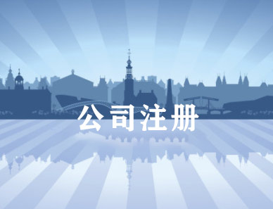 2021年广州公司注册