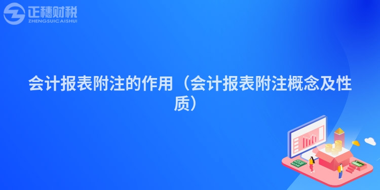 会计报表附注的作用（会计报表附注概念及性质）