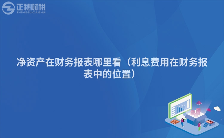 净资产在财务报表哪里看（利息费用在财务报表中的位置）